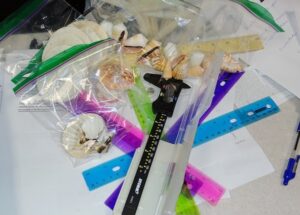 Calipers, rulers, bags of shells