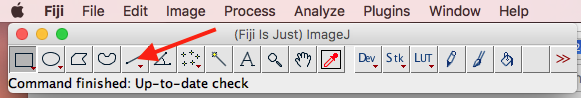 line segment tool highlighted