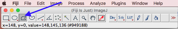 Fiji (imageJ) polygon tool in menu (blue arrow)