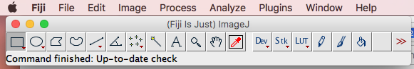 Screenshot of ImageJ (Fiji) on a macOS machine