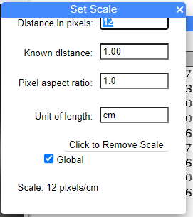 Screenshot of imageJ Set scale -- note that the "OK" button is not visible at bottom of image