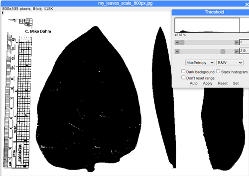 ImageJ screenshot, threshold applied