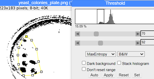 ImageJ screenshot, threshold and ROI