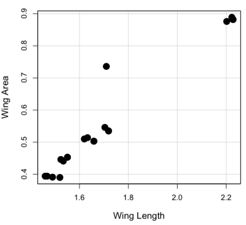 Scatterplot Drosophila fly wings, Chapter 16.1 Mike's Biostatistics Book